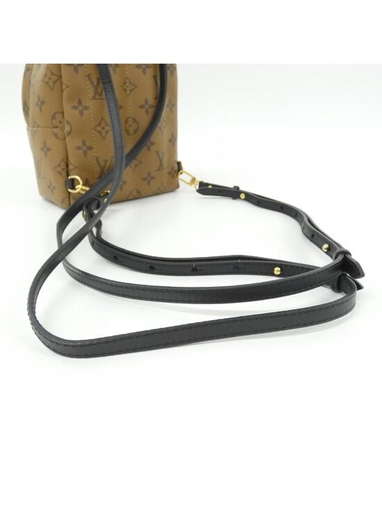 Louis Vuitton Monogram Reverse Palm Springs Backpack Mini main image 3